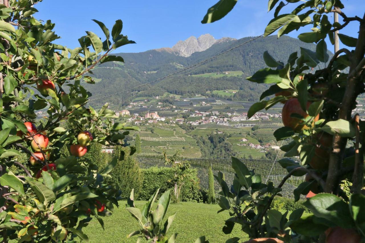 Hofer Tirolo